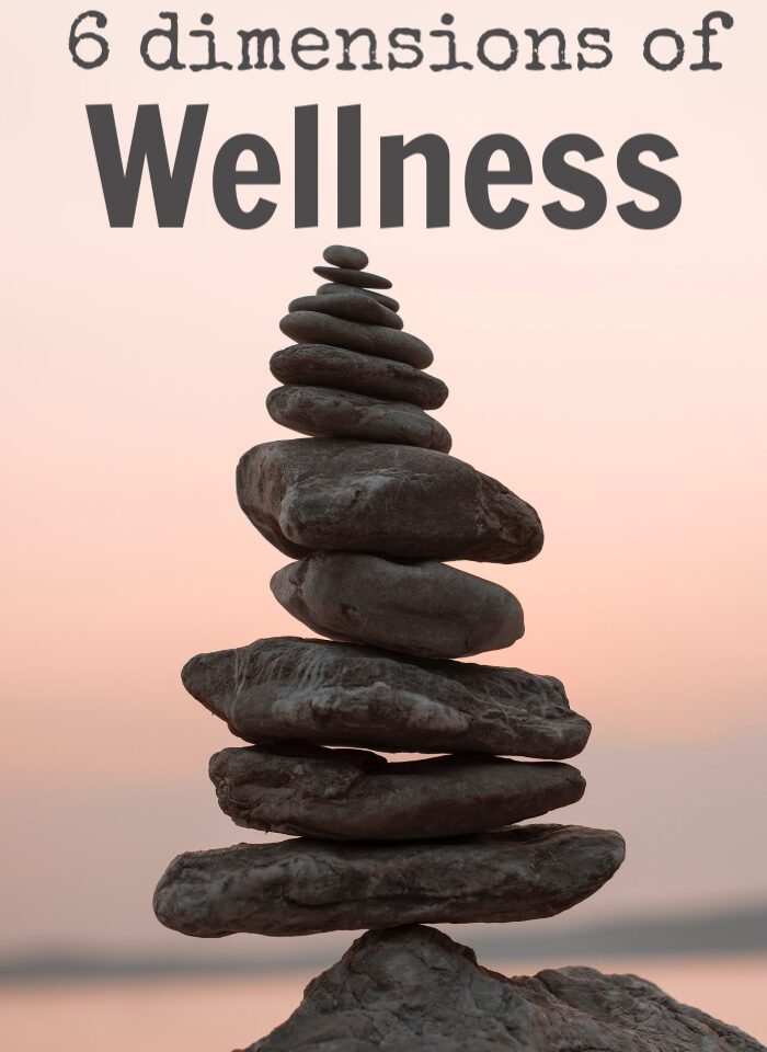 6 Dimensions of Wellness